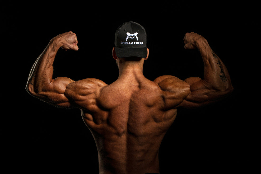 Comment rester sec toute l’année sans sacrifier ta masse musculaire ?